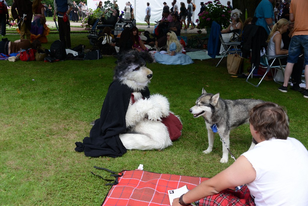 ../Images/Castlefest 2016 Zaterdag 066.jpg